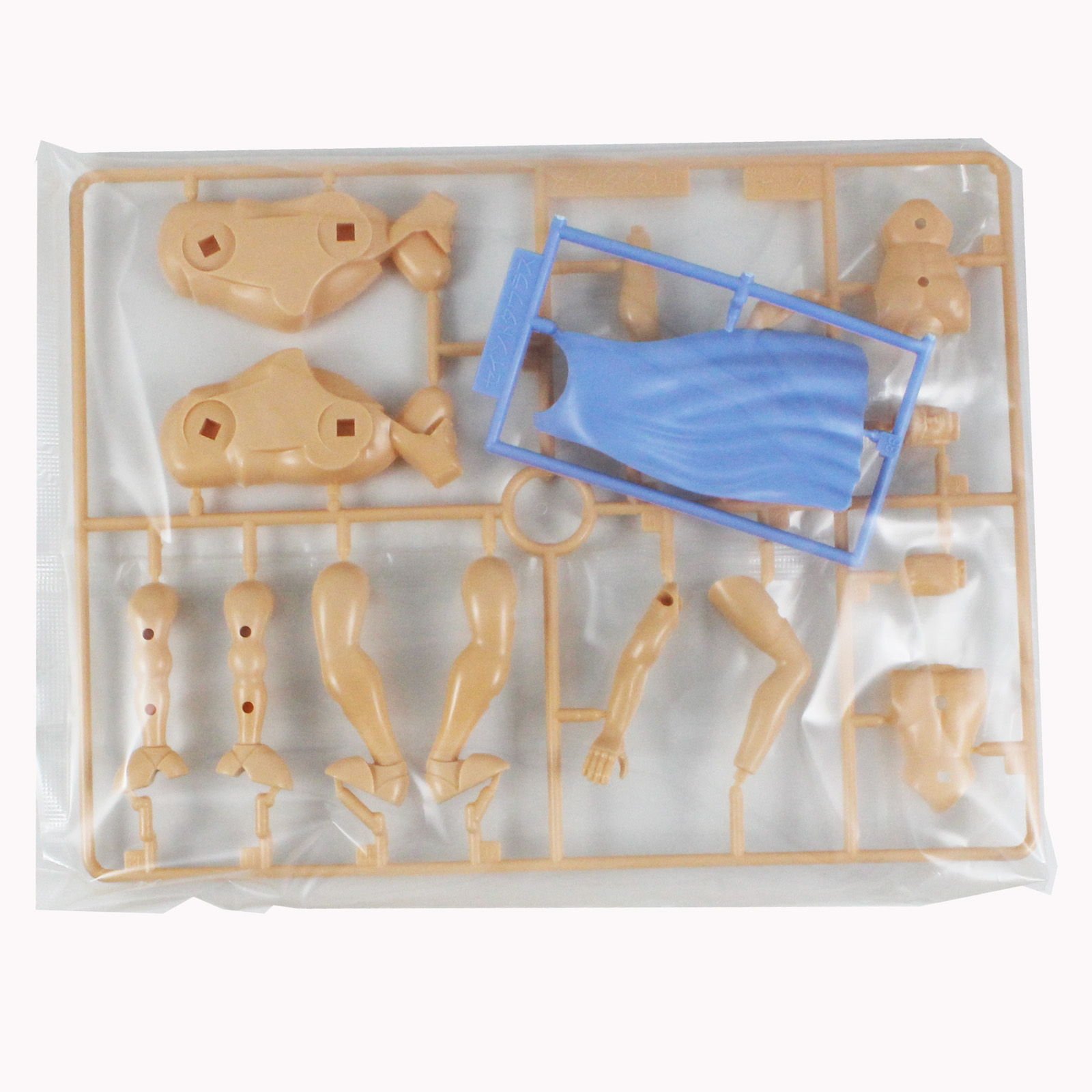 Amazon.com: St Seiya Model Kit #22 : Arts, Crafts & Sewing